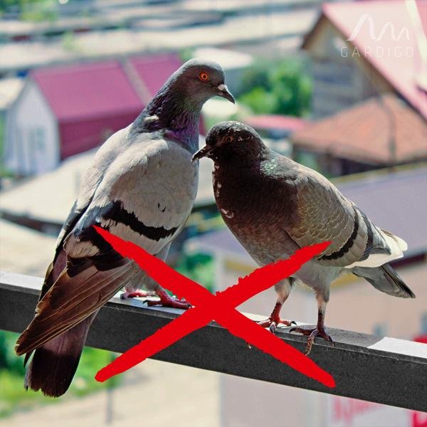 G-Répulsif dOiseaux Solaire