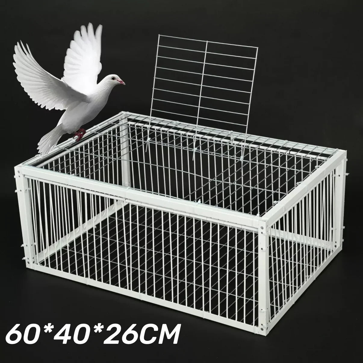 Cage à Oiseaux